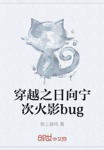 穿越之日向宁次火影bug