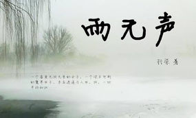 雨无声