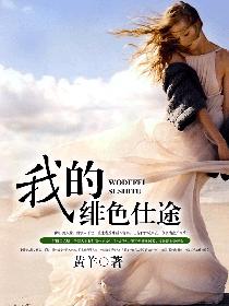 我的绯色仕途