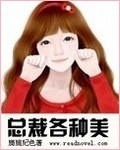 总裁各种美