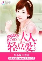 染爱成瘾：BOSS大人轻点爱